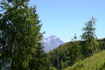 Blick in die Berge