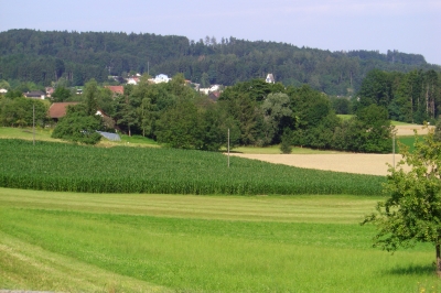 Beim Spaziergang1