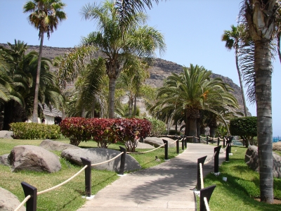 Palmenpark in Tourito