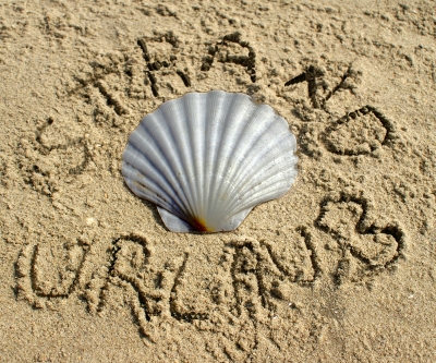 Strandurlaub - Endlich Sommer - 63