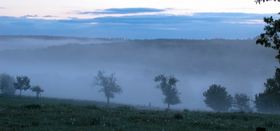 Tal bei der Lochmühle (Wehrheim, Taunus) im Morgennebel