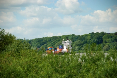 Himmel,viel Grün und Containerschiff