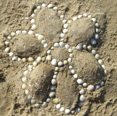 Blume aus Sand und Muscheln
