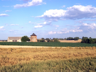 Ruine auf dem Feld