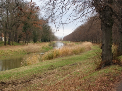 Schwarze Elster in Bad Liebenwerda