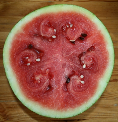 wasser(strudel)melone