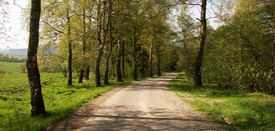 ein Waldweg