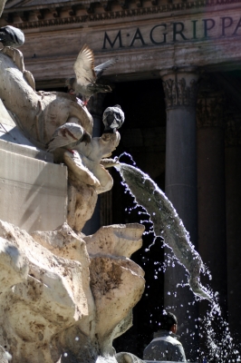 Brunnen am Piazza della Rotonda
