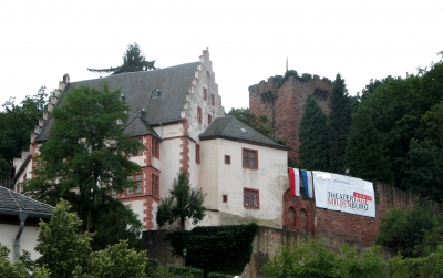 Mildenburg in Miltenberg