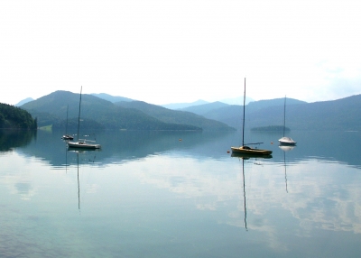 Spiegelung im Wasser