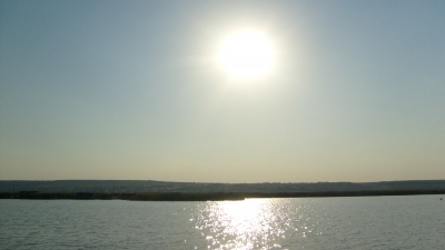 Nachmittagssonne am Neusiedlersee II