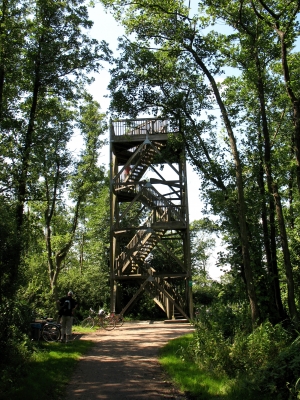 Niendorf Hemmelsdorfer See Aussichtsturm entfernter