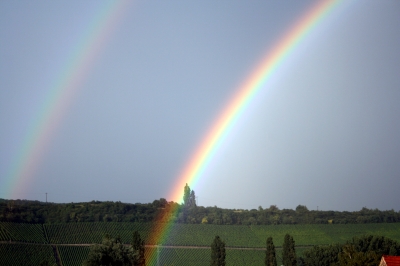 Nach dem Regen kommt die Sonne!