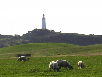 Leuchtturm mit Schafen