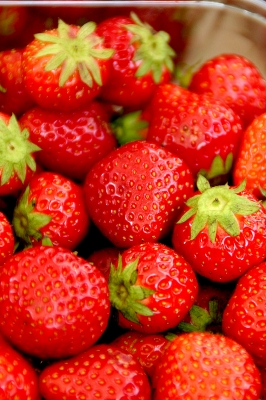 bucurescu 0540 erdbeeren