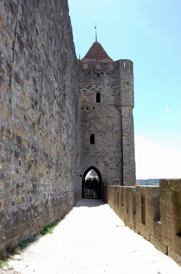 Carcassonne 20