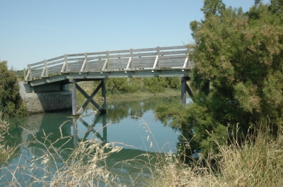 Holzbrücke