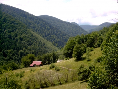 Cabana Piatra Alba in den rumänischen Westkarpaten