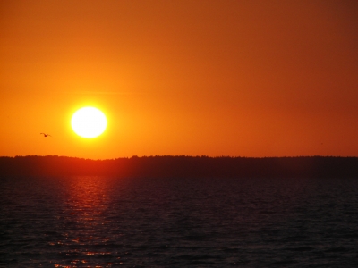 Abendstimmung am Steinhuder Meer