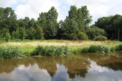 Flusslandschaft im Rheiderland