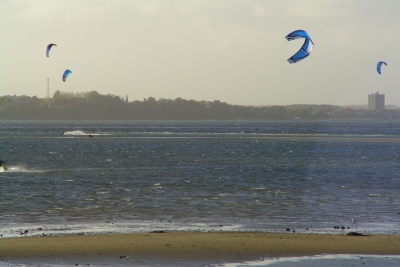 kitesurfer