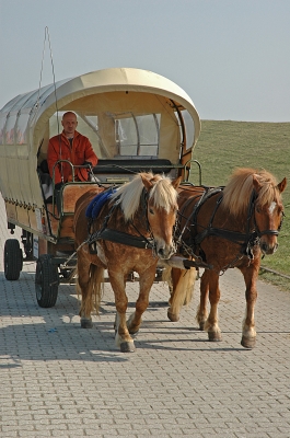 Pferdekutsche als Taxi