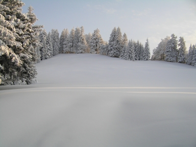 wiesenwinkel