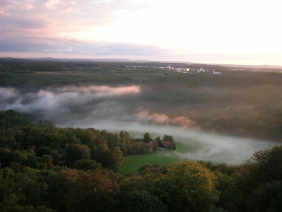 wiese im nebel