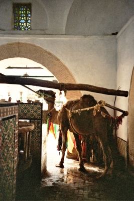 afrikanische "Brunnenpumpe" - Kairouan / Tunesien