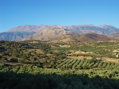 Kreta-Landschaft in der Nachmittagssonne