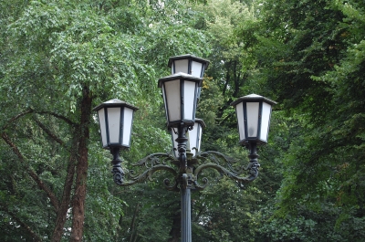 Licht im Park