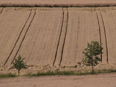 Fahrrillen