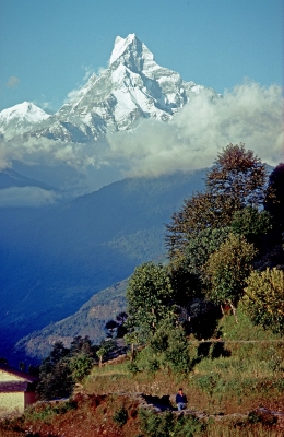 "Fischschwanzberg" in Nepal