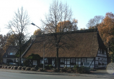 Reetdachhaus