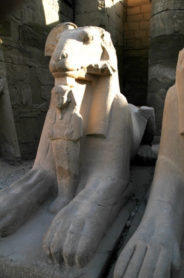 Sphinx in Karnak