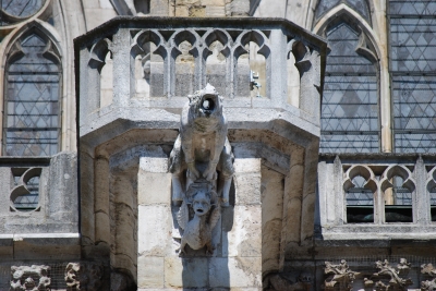 Wasserspeier am Regensburger Dom