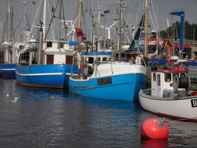 Fischerboote im Hafen