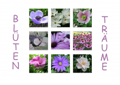 Blütenträume (Postkarte)