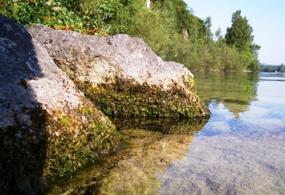 Der Mondsee1