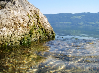 So klar sind Seen in Österreich