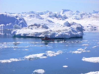 Eisberge in Grönland