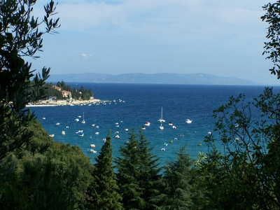 Ausblick zum Meer in Kroatien (Rabac)