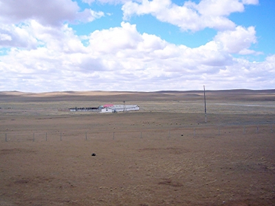 In der Mongolei