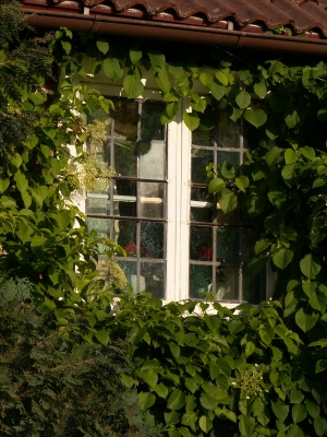 Fenster in Gränna (S)