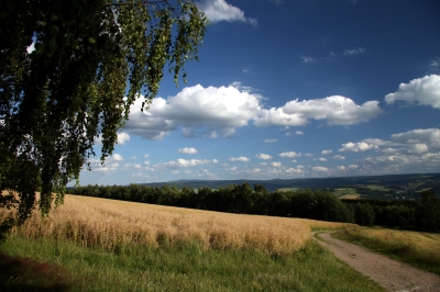 Blick vom Spiegelwald