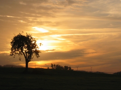 Sonnenaufgang an meinem Geburtstag