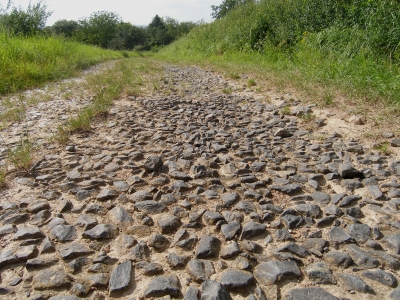 Steiniger Weg