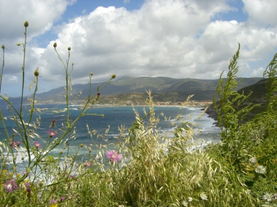 Blumenküste auf Sardinien