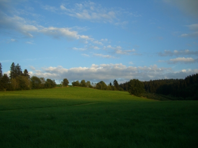 Landschaft im Allgäu