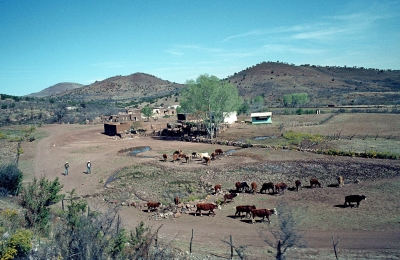 Farm in Nord Mexiko